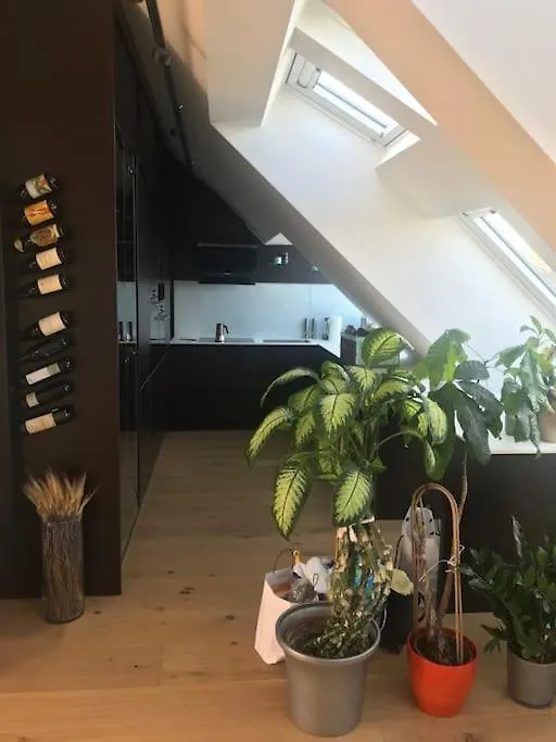 Grosszuegiges Dachterrassen-Appartment Mit Klimaanlage Und Wunderbarem Ausblick Vienna Apartment