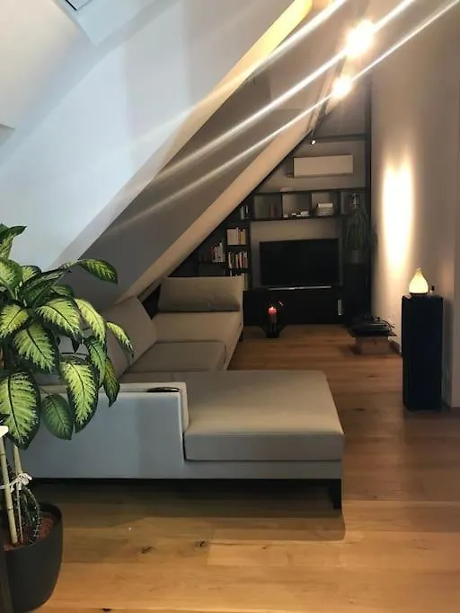 Grosszuegiges Dachterrassen-Appartment Mit Klimaanlage Und Wunderbarem Ausblick Vienna