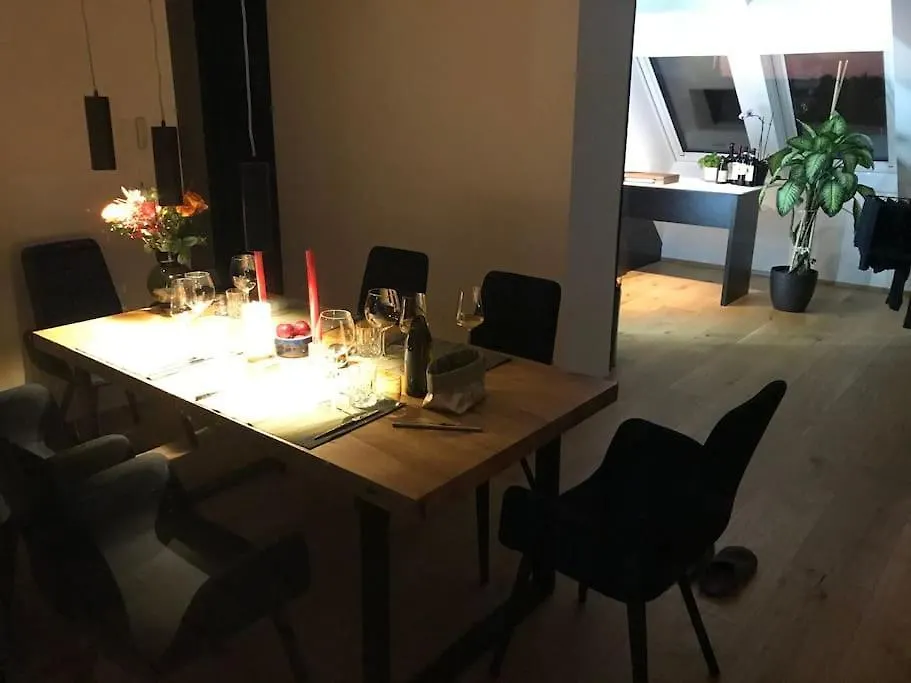 Grosszuegiges Dachterrassen-Appartment Mit Klimaanlage Und Wunderbarem Ausblick Vienna 0*,